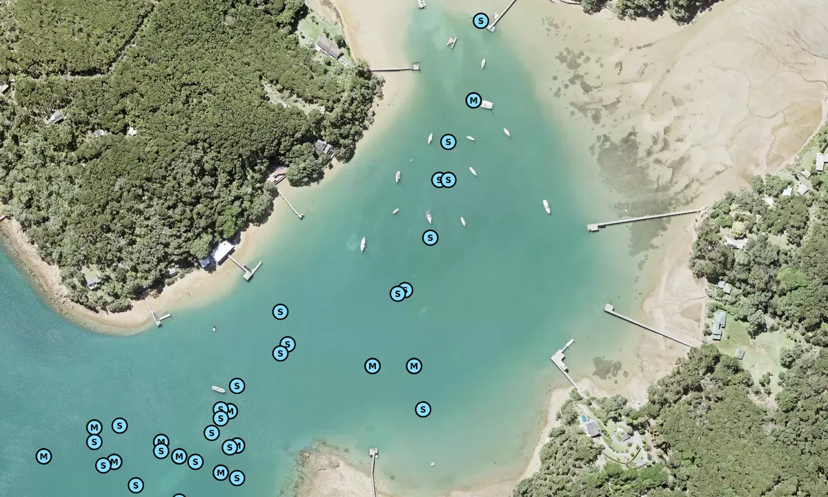 Satelite image of North Cove - Kawau Island