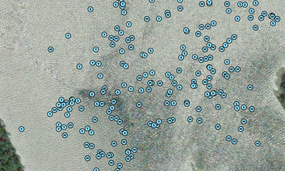 Satelite image of North Cove - Thetis Island
