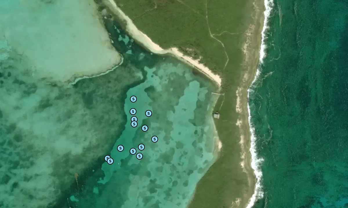 Satelite image of North Lynyard Cay