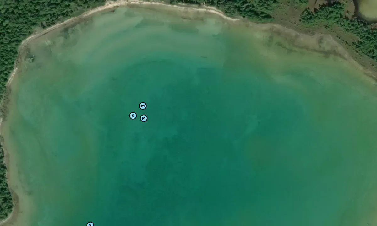 Satelite image of Northcutt Bay