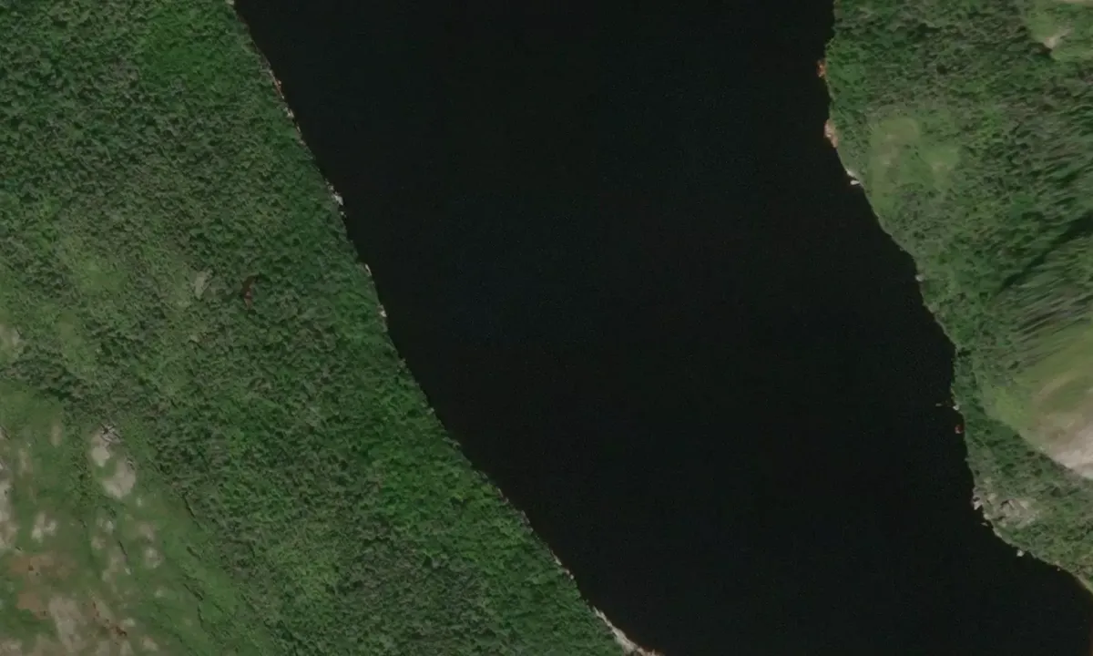 Satelite image of Northwest Arm Grey River