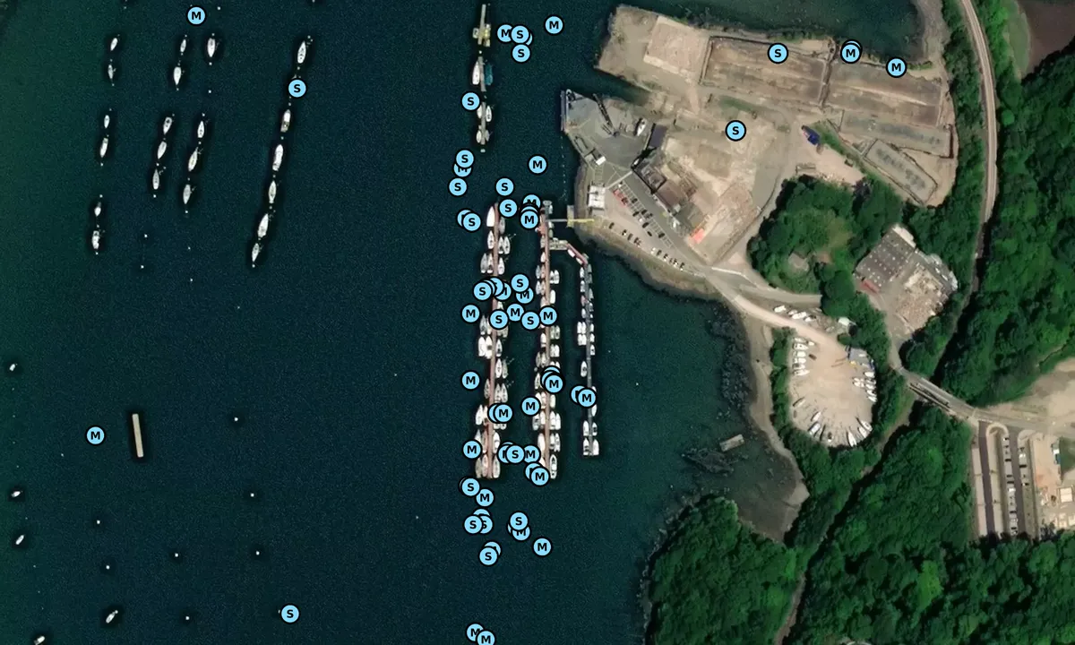Satelite image of Noss on Dart Marina and Boatyard