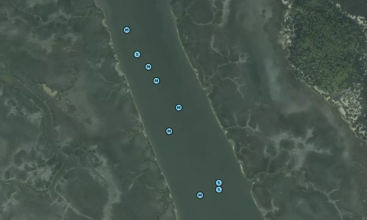 Satelite image of Nowell Creek - Berkeley