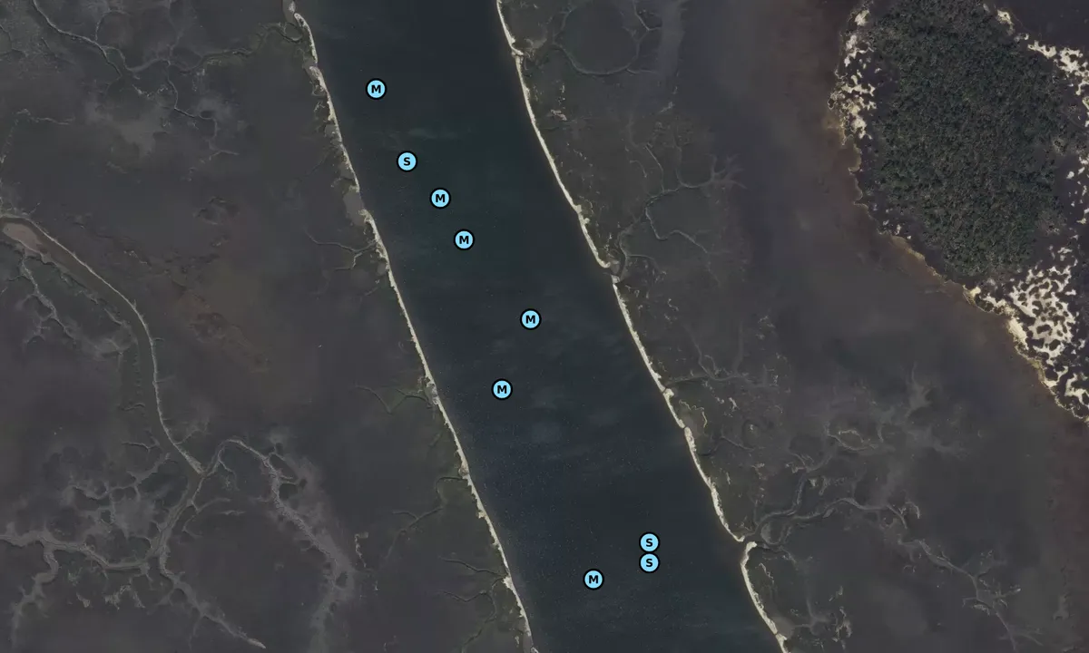 Satelite image of Nowell Creek - Berkeley