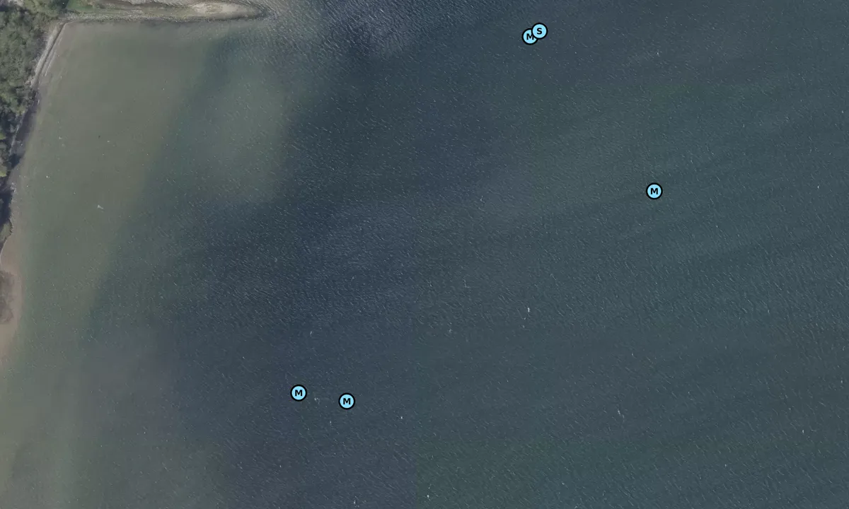 Satelite image of Nybølnor - Stjernegrund bouy