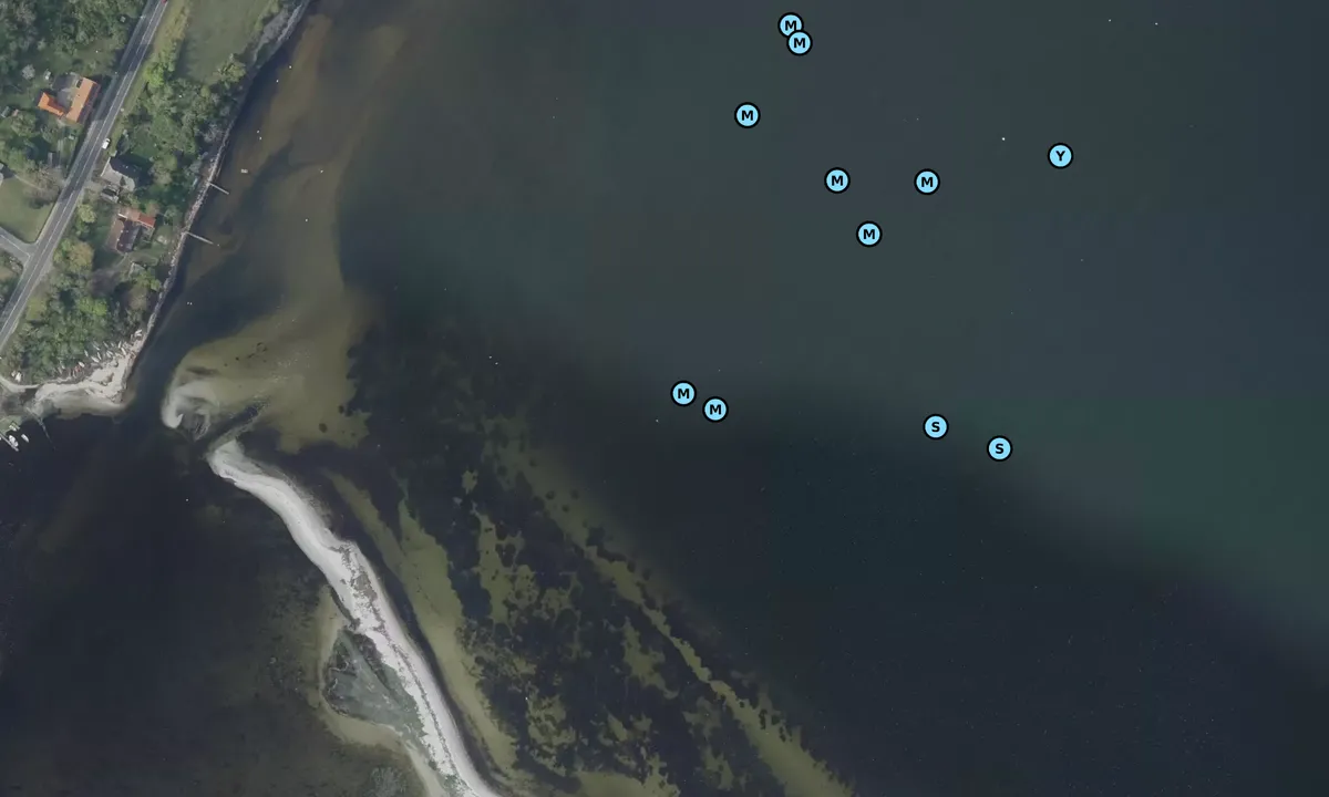 Satelite image of Nyborg Fjord Avernakke bouy