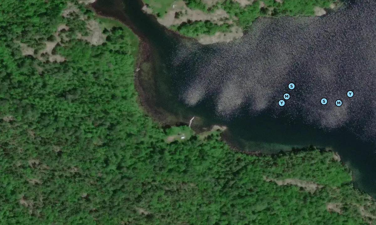 Satelite image of Oakes Cove