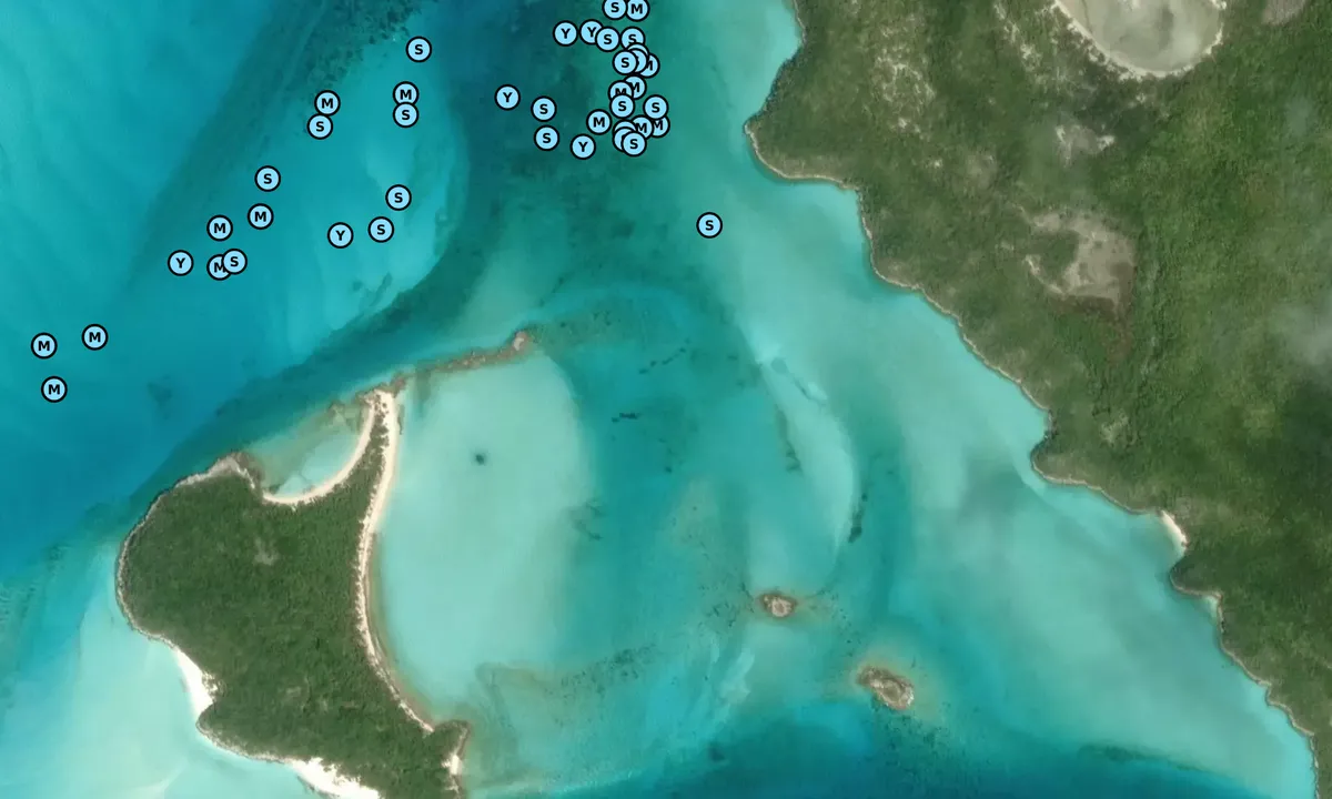 Satelite image of O'Briens Cay - 1