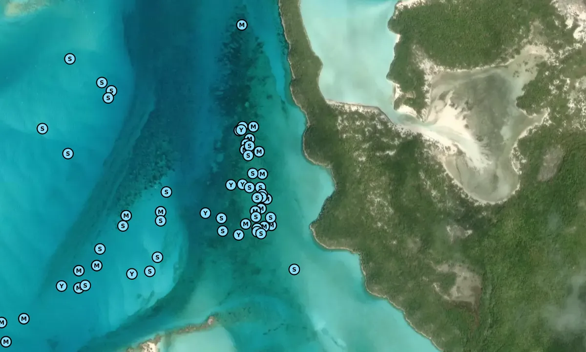 Satelite image of O'Briens Cay - 2