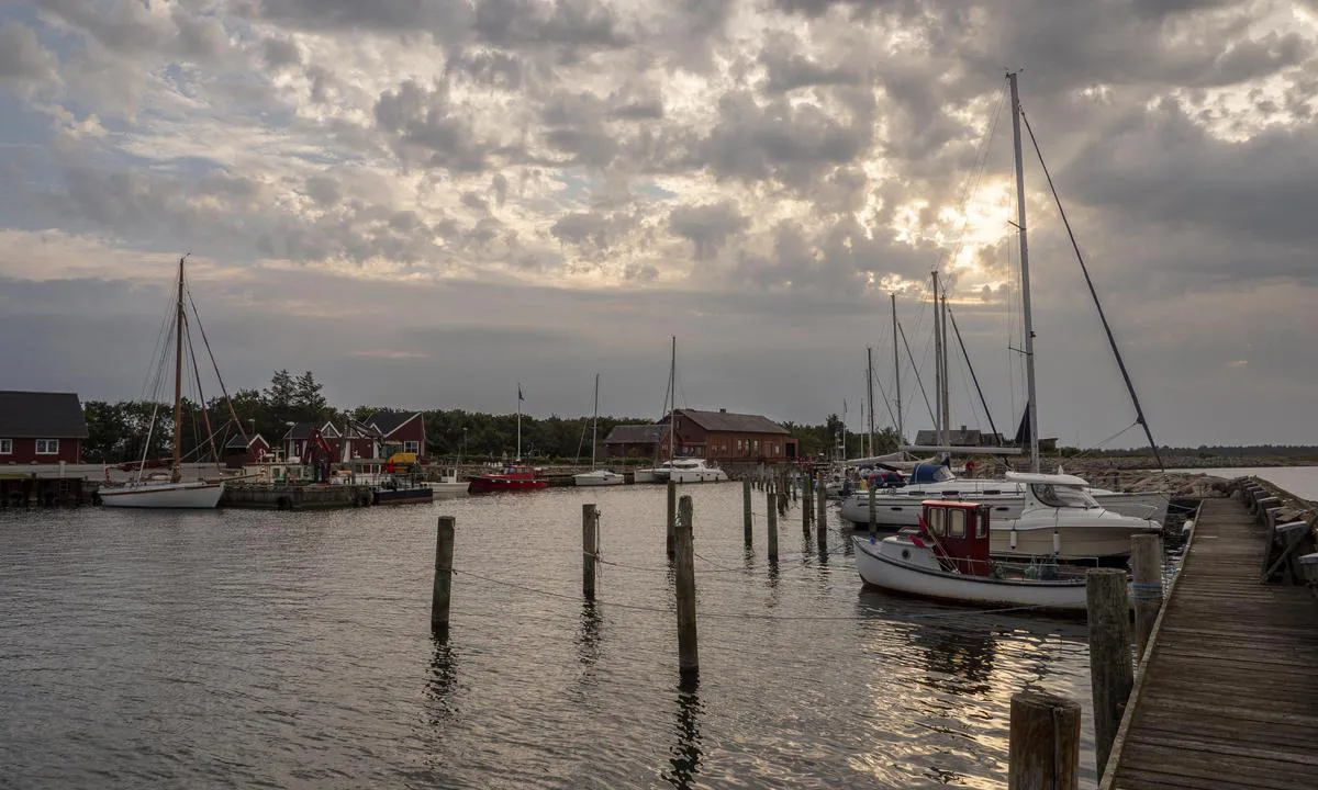 Oddesund Nord Lystbåde- og Fiskerihavn