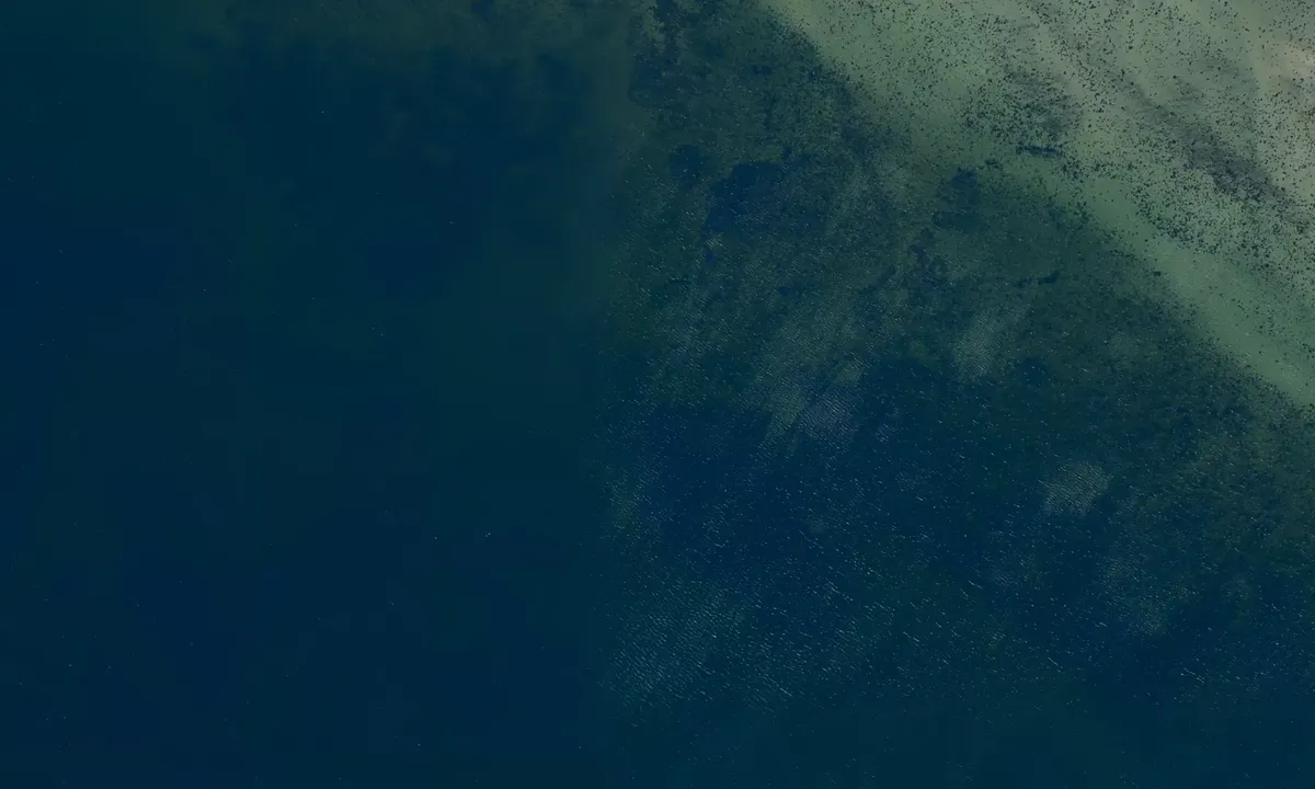 Satelite image of Odense Fjord
