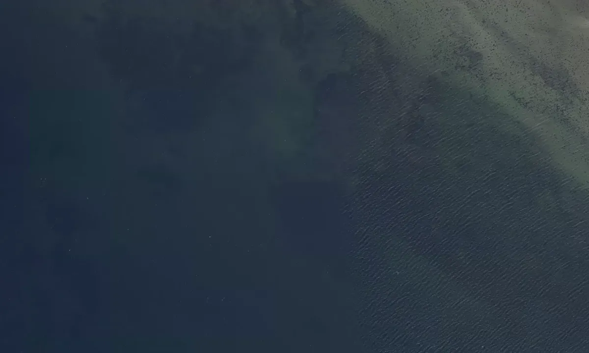 Satelite image of Odense Fjord