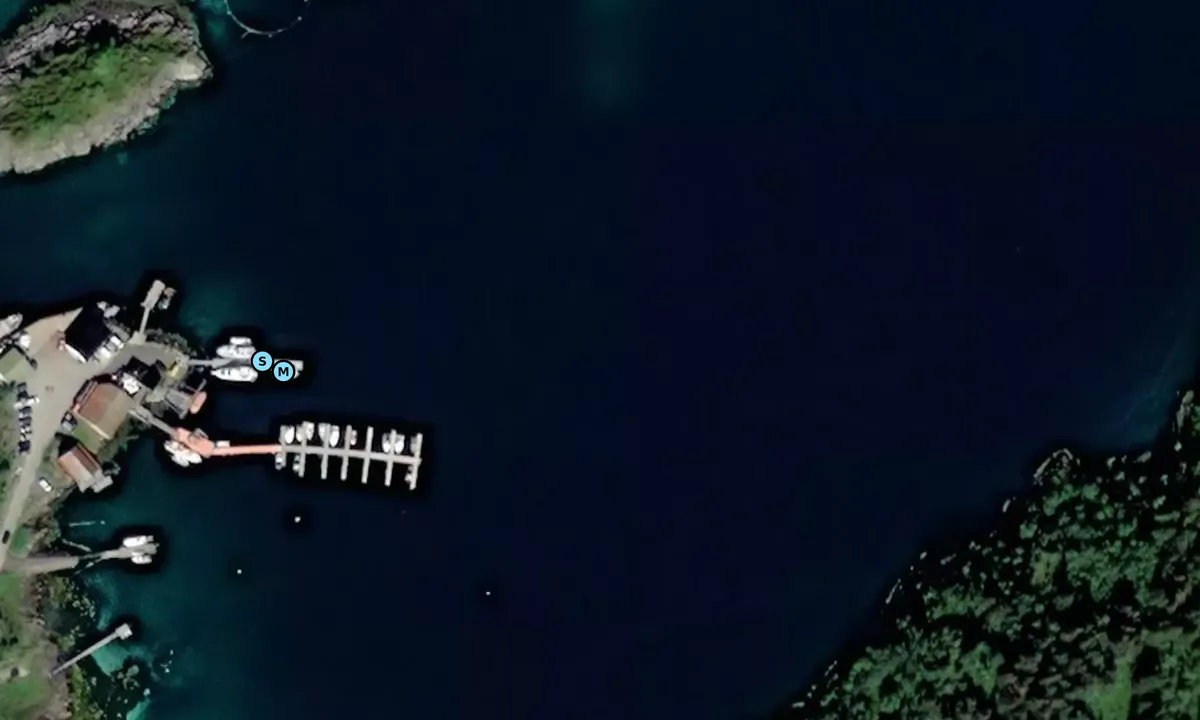 Satelite image of Øksneshamn