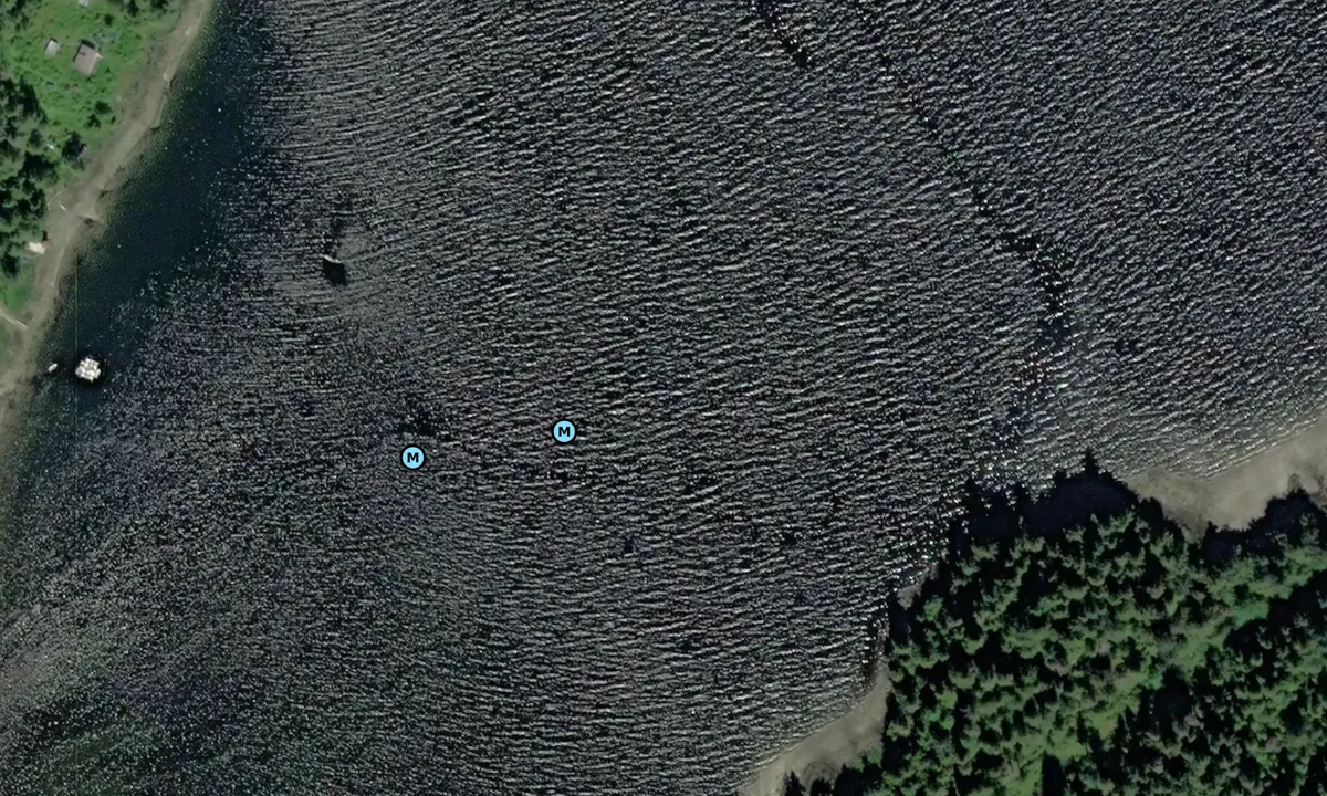 Satelite image of Olive Cove