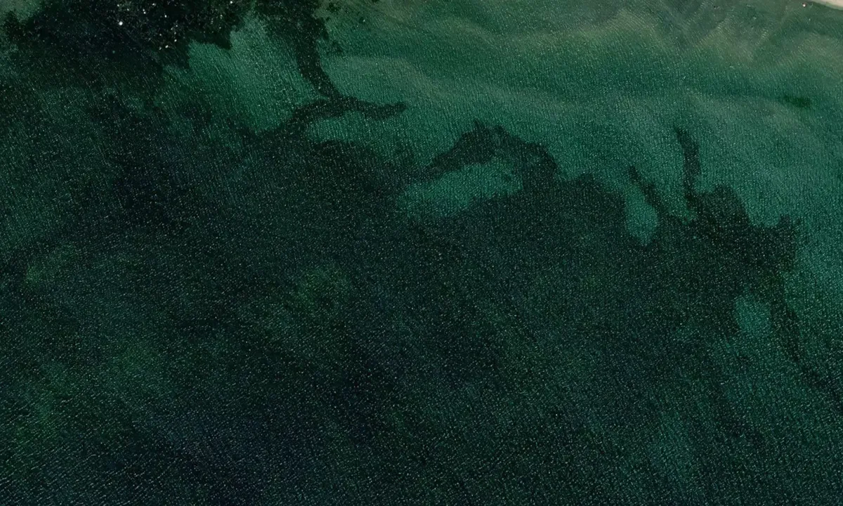 Satelite image of Olofsbo