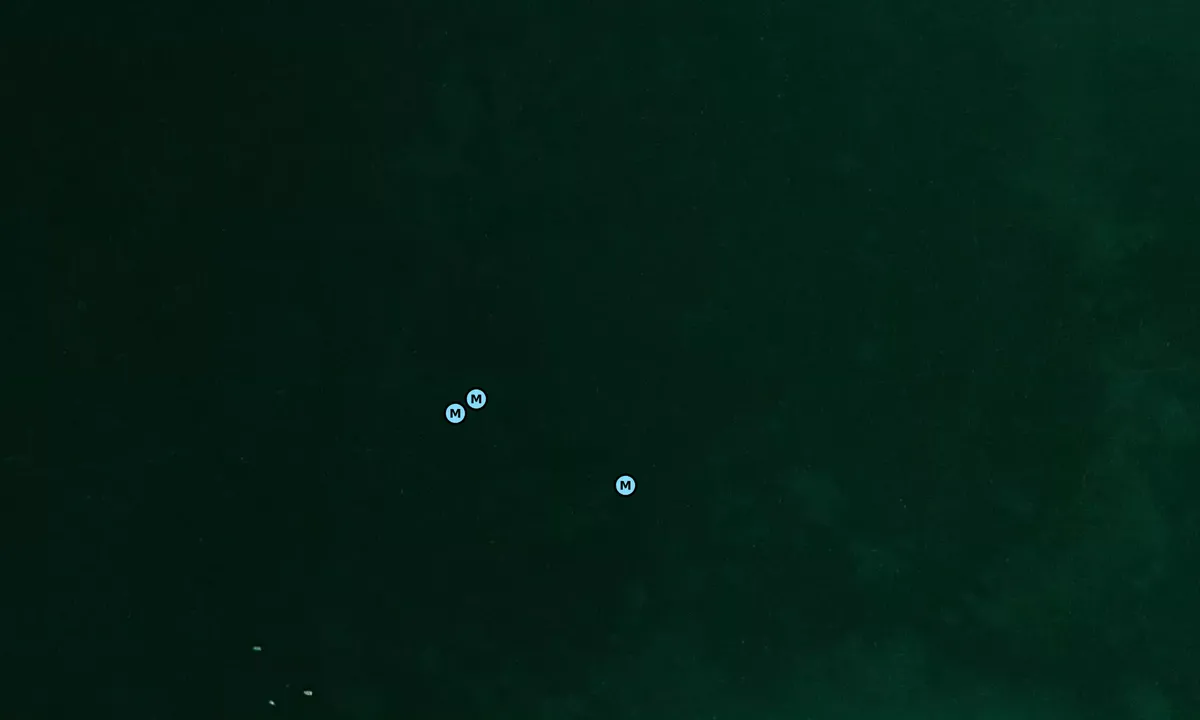 Satelite image of Onekama