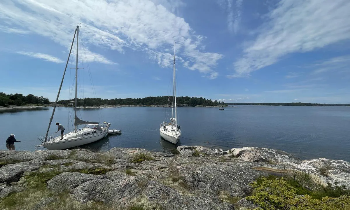 Ormskärsskaten - Kummeludden: {"base": "se", "no": "Enkel ombordstigning. Men f\u00e5 sprekker for kiler.", "se": "Enkelt insteg. Dock ont om sprickor f\u00f6r kilar.", "en": "Simple boarding. However, there are few cracks for wedges.", "da": "Enkelt instigning. Dog f\u00e5 spr\u00e6kker til kiler.", "fr": "Embarquement facile. Cependant, peu de fissures pour les coins.", "de": "Einfacher Einstieg. Aber wenige Risse f\u00fcr Keile.", "es": "F\u00e1cil acceso. Pero pocas grietas para cu\u00f1as.", "it": "Ingresso semplice. Tuttavia, poche fessure per i cunei.", "pt": "Entrada f\u00e1cil. Mas poucas fendas para cunhas.", "nl": "Eenvoudige instap. Echter weinig spleten voor wiggen.", "pl": "\u0141atwe wej\u015bcie. Ma\u0142o szczelin dla klin\u00f3w.", "uk": "\u041f\u0440\u043e\u0441\u0442\u0438\u0439 \u0432\u0445\u0456\u0434. \u041e\u0434\u043d\u0430\u043a \u043c\u0430\u043b\u043e \u0442\u0440\u0456\u0449\u0438\u043d \u0434\u043b\u044f \u043a\u043b\u0438\u043d\u0456\u0432.", "ro": "Acces simplu. Totu\u0219i, pu\u021bine cr\u0103p\u0103turi pentru pene.", "tr": "Kolay giri\u015f. Ancak kama yerle\u015ftirmek i\u00e7in yar\u0131k yok.", "el": "\u0395\u03cd\u03ba\u03bf\u03bb\u03b7 \u03b5\u03af\u03c3\u03bf\u03b4\u03bf\u03c2. \u03a9\u03c3\u03c4\u03cc\u03c3\u03bf, \u03bb\u03af\u03b3\u03b5\u03c2 \u03c1\u03c9\u03b3\u03bc\u03ad\u03c2 \u03b3\u03b9\u03b1 \u03c3\u03c6\u03ae\u03bd\u03b5\u03c2.", "cs": "Jednoduch\u00fd vstup. Ale m\u00e1lo prasklin pro kl\u00edny.", "hu": "Egyszer\u0171 besz\u00e1ll\u00e1s. Azonban kev\u00e9s hely van az \u00e9kek sz\u00e1m\u00e1ra.", "fi": "Helppo nousu. V\u00e4h\u00e4 kohtausta kiiloille.", "bg": "\u041b\u0435\u0441\u043d\u043e \u043a\u0430\u0447\u0432\u0430\u043d\u0435. \u0412\u044a\u043f\u0440\u0435\u043a\u0438 \u0442\u043e\u0432\u0430, \u043d\u0435\u0434\u043e\u0441\u0442\u0430\u0442\u044a\u043a\u044a\u0442 \u0435, \u0447\u0435 \u043d\u044f\u043c\u0430 \u043f\u0443\u043a\u043d\u0430\u0442\u0438\u043d\u0438 \u0437\u0430 \u043a\u043b\u0438\u043d\u043e\u0432\u0435.", "sr": "Jednostavan ulaz. Malo pukotina za klinove.", "et": "Lihtne sisenemine. K\u00fcll aga puuduvad praod kiilude jaoks.", "lv": "Vienk\u0101r\u0161a iek\u0101p\u0161ana. Tom\u0113r tr\u016bkst plaisu \u0137\u012b\u013ciem.", "lt": "Lengvas pri\u0117jimas. Ta\u010diau tr\u016bksta \u012ftr\u016bkim\u0173 plei\u0161tams."}