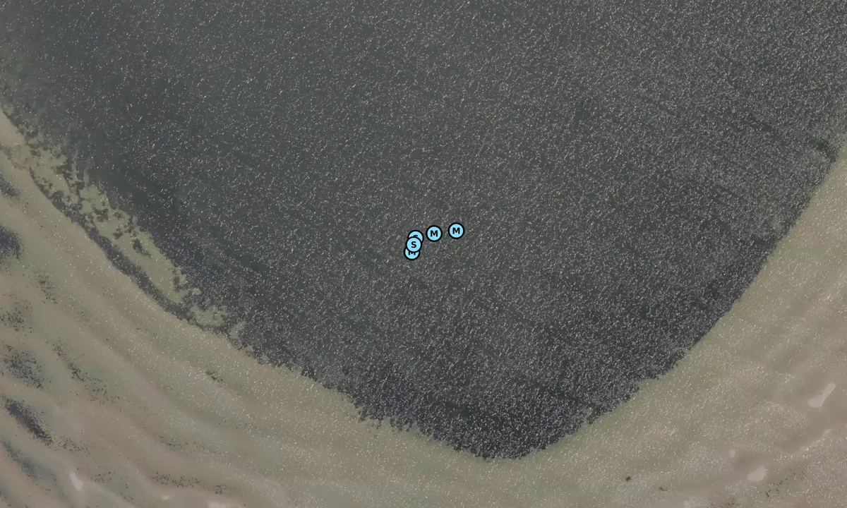 Satelite image of Orø N - Salvig bugt bouy