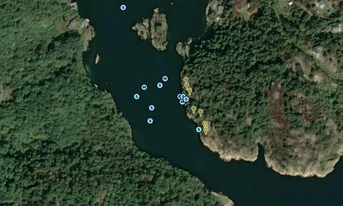 Satelite image of Ørpeholmsundet