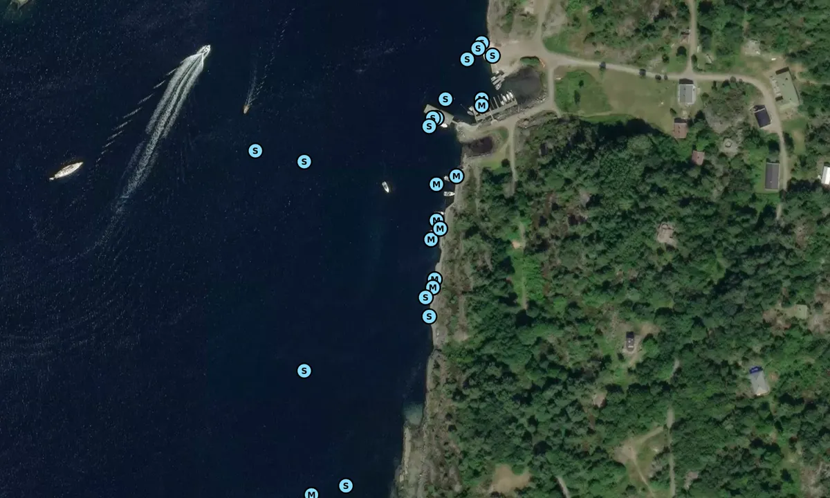 Satelite image of Østre Randøya