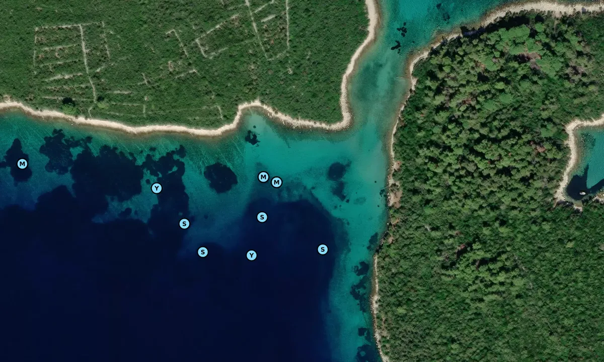 Satelite image of Otok Vele Orjule
