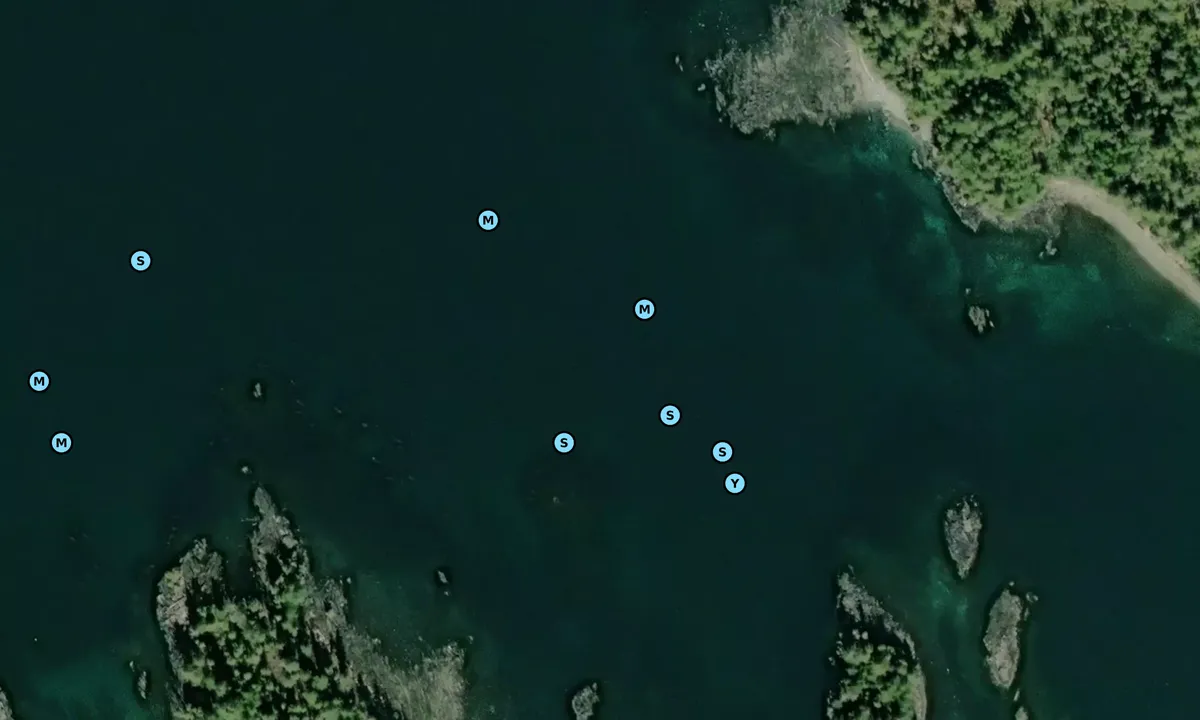 Satelite image of Outer Foggy Bay