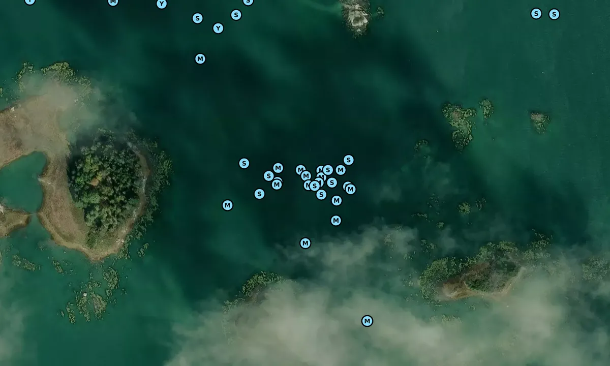Satelite image of Outer Inner Seal Bay
