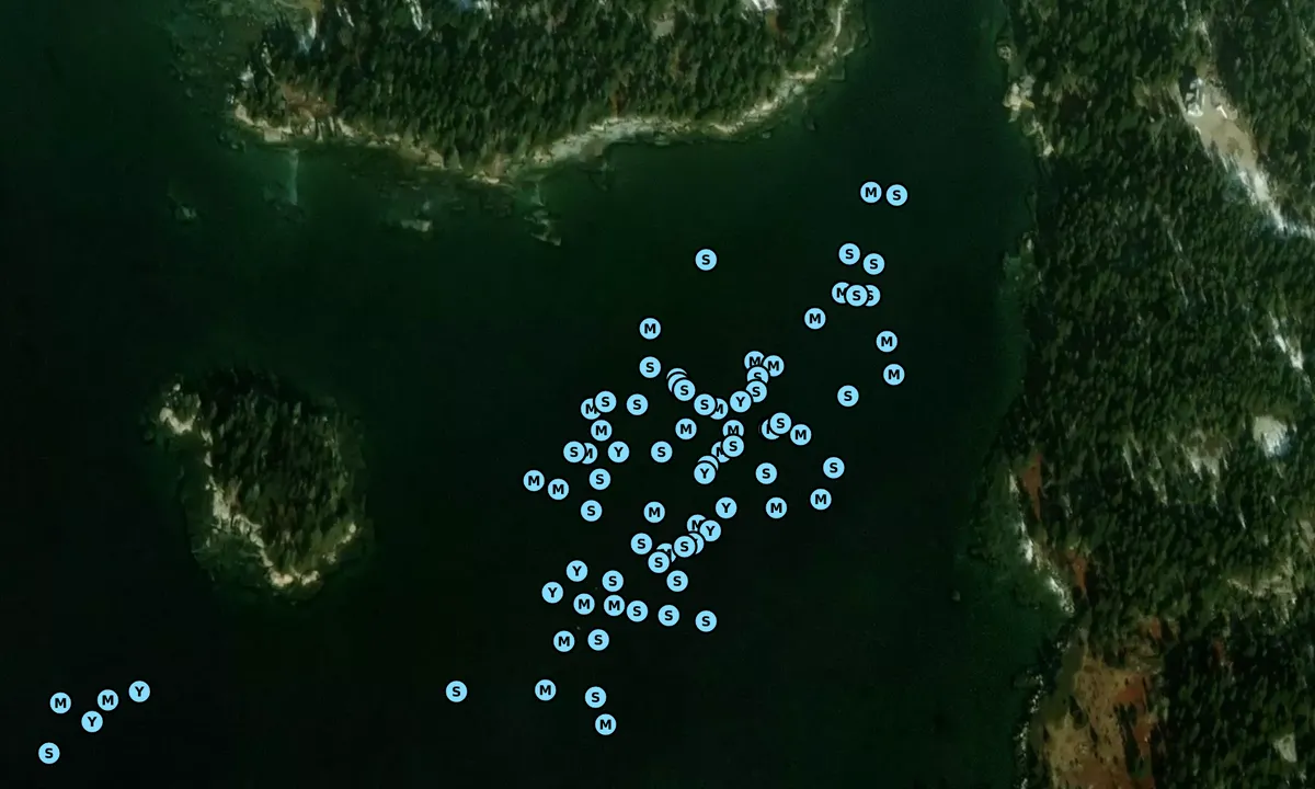 Satelite image of Outer Long Cove