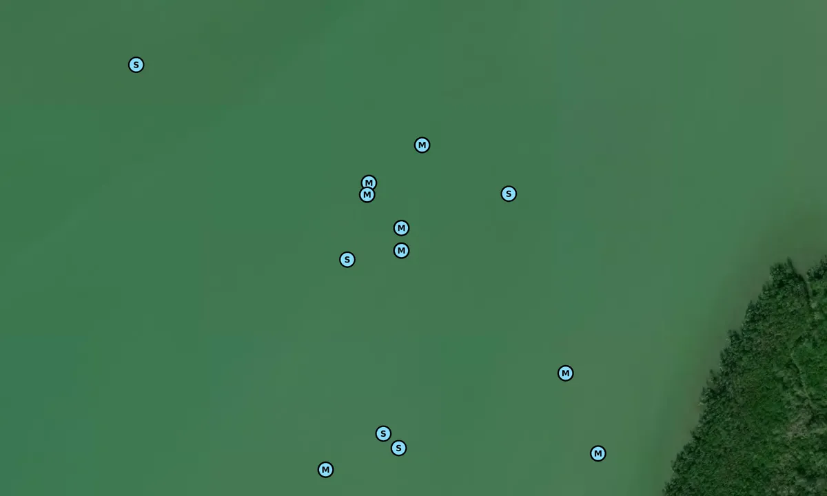 Satelite image of Outside Little Shark River