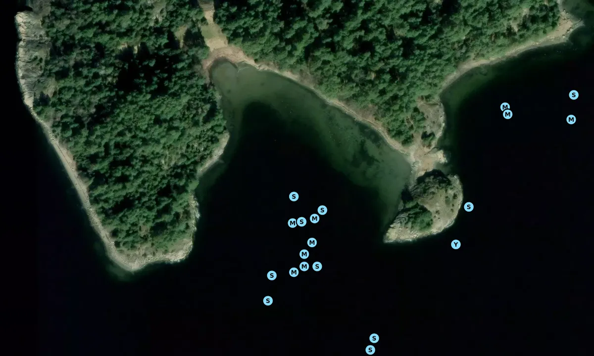 Satelite image of Oxholmen