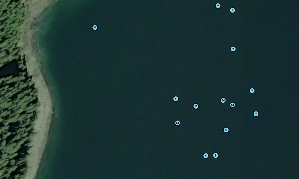 Satelite image of Pack Creek