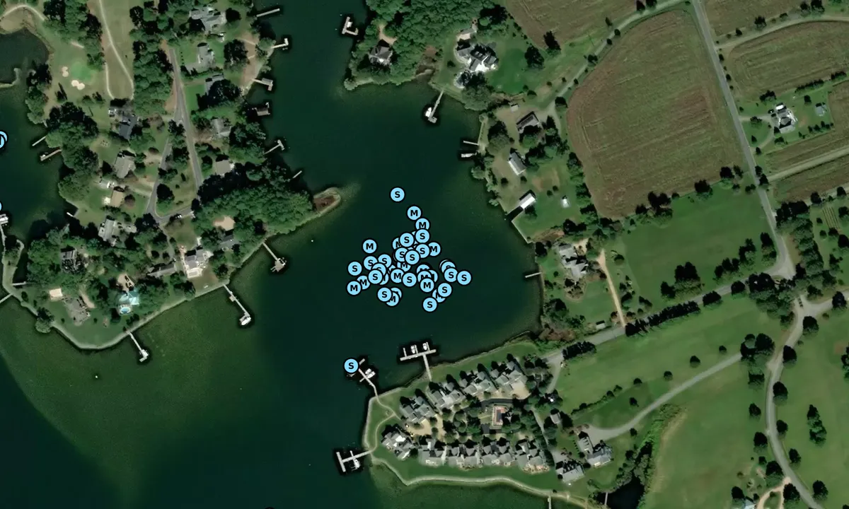 Satelite image of Painter Pointe