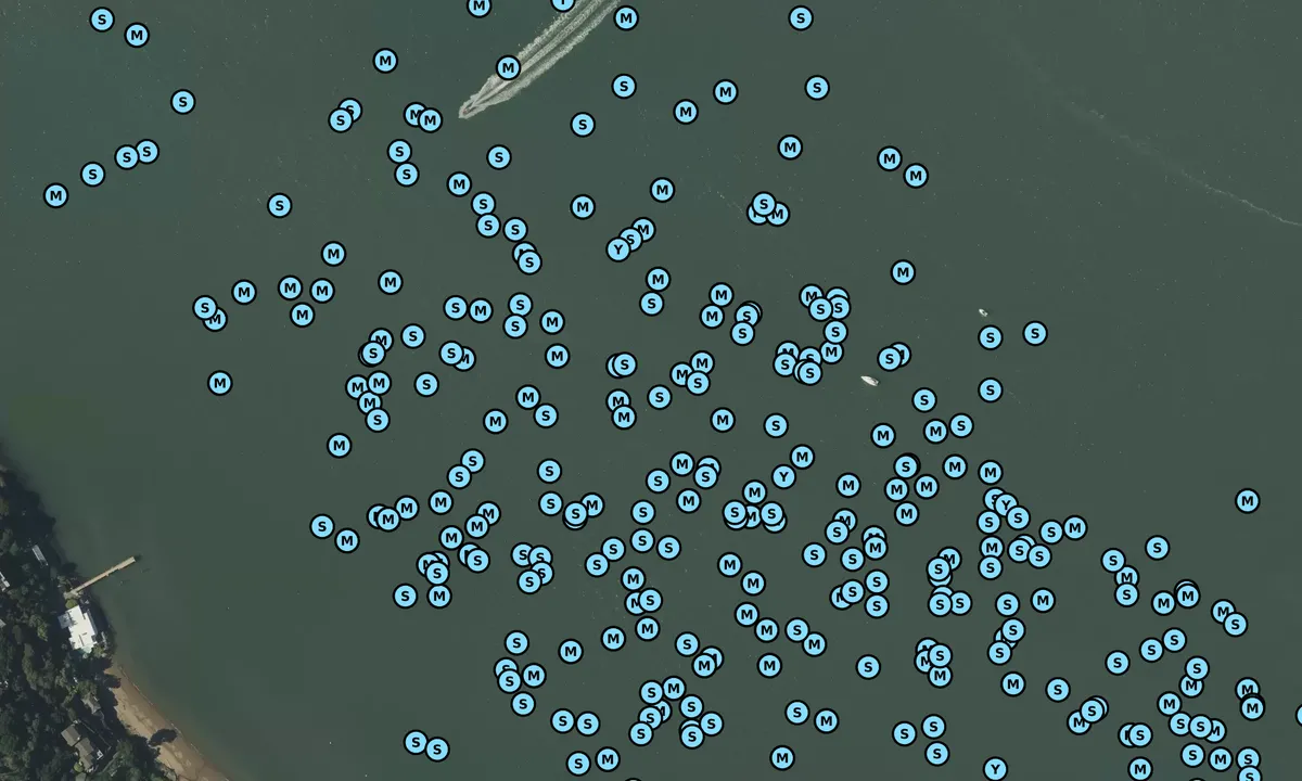 Satelite image of Paradise Cove - Marin