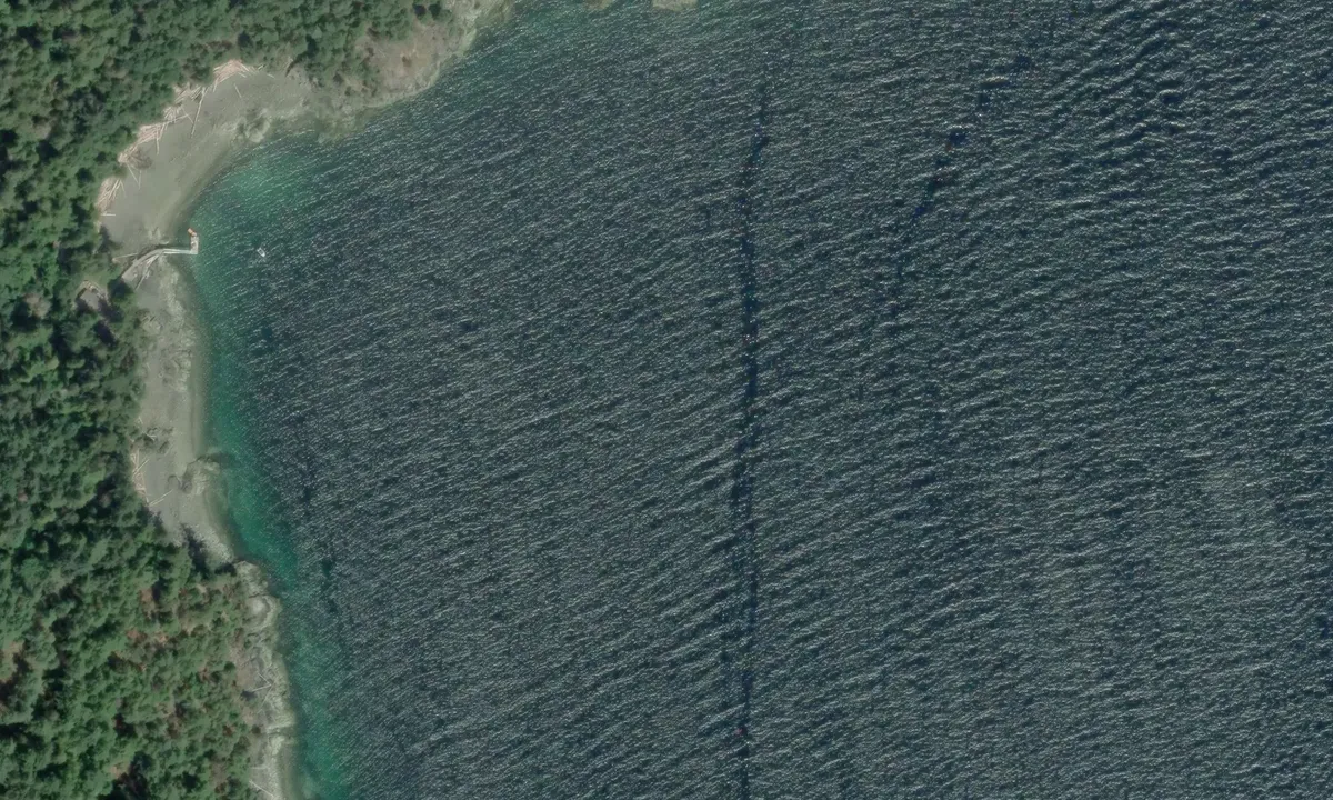 Satelite image of Pasley Island
