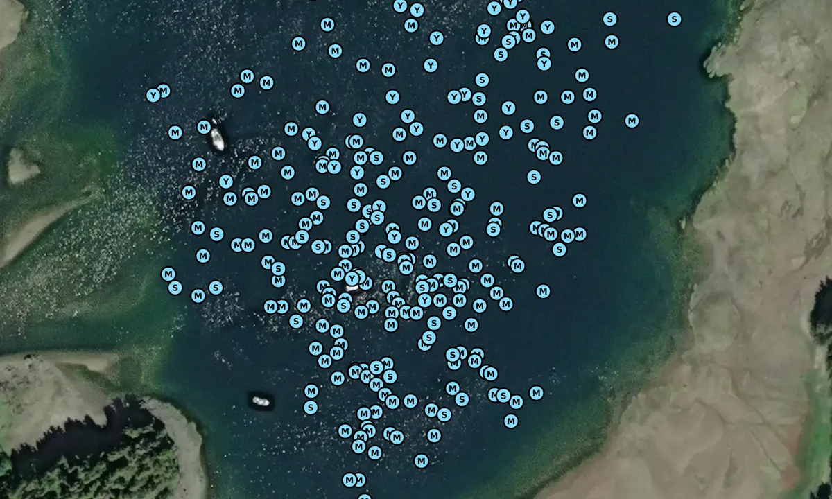 Satelite image of Pavlof Harbor