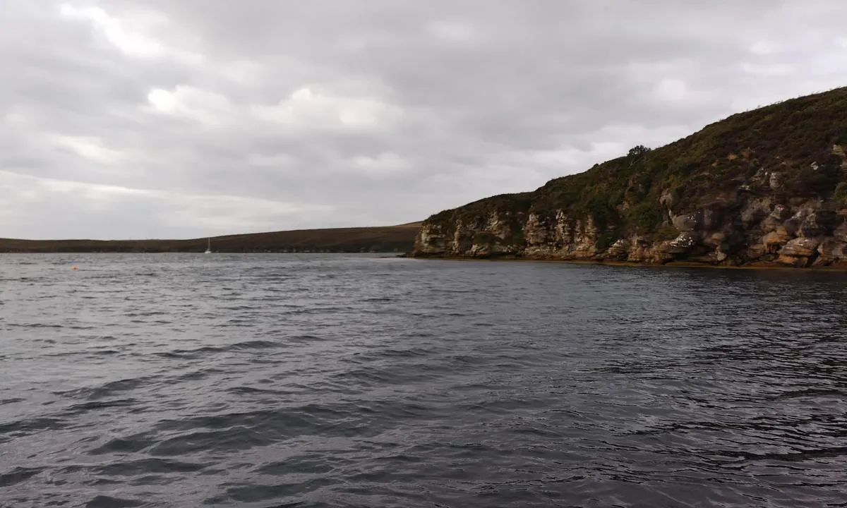 Pegal Bay: {"base": "en", "no": "Klippeveggene blir h\u00f8yere mot nord.", "se": "Klipporna v\u00e4xer h\u00f6gre mot norr.", "en": "The cliffs grow higher towards north.", "da": "Klipperne bliver h\u00f8jere mod nord."}