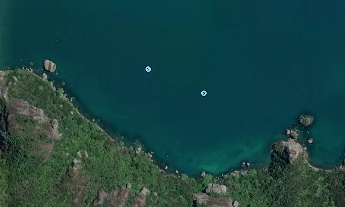 Satelite image of Pekapeka Bay