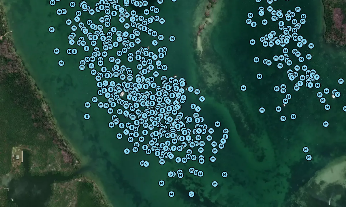 Satelite image of Pelican Bay 2
