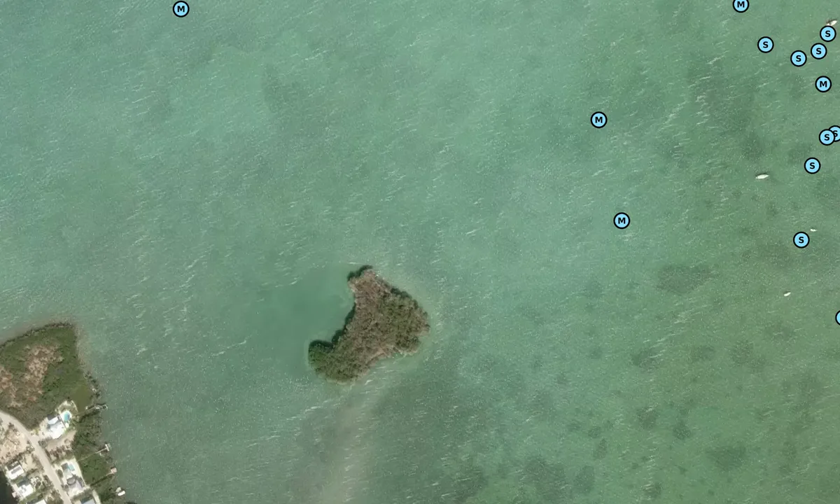 Satelite image of Pelican Key
