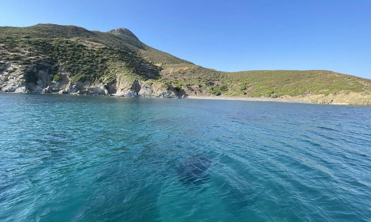 Perdischedda: {"base": "en", "no": "Godt beskyttet fra N til S\u00d8. N\u00e6rmere land finnes det skj\u00e6r mellom sanden, som du kan se p\u00e5 bildet. 50 meter s\u00f8r, og du er klar av skj\u00e6rene p\u00e5 7 meters dyp.", "se": "V\u00e4l skyddad fr\u00e5n N till SO. N\u00e4rmare stranden finns det klippor som g\u00e5r under vatten mellan sanden, vilket du kan se p\u00e5 bilden. 50 meter s\u00f6derut och du \u00e4r fri fr\u00e5n stenar p\u00e5 7 meters djup.", "en": "Well protected from N to SE.\r\nCloser to the shore there are awash rocks between sand as you may see in the picture . 50meters to the South and you\u2019re clear of rocks in 7 meters", "da": "Godt beskyttet fra N til SE. T\u00e6ttere p\u00e5 kysten er der awash-klipper mellem sand, som du kan se p\u00e5 billedet. 50 meter mod syd, og du er fri for klipper i 7 meters dybde.", "fr": "Bien prot\u00e9g\u00e9 du N au SE. Plus pr\u00e8s du rivage, il y a des rochers affleurants entre le sable comme vous pouvez le voir sur l'image. \u00c0 50 m\u00e8tres au sud, vous \u00eates d\u00e9gag\u00e9 des rochers dans une profondeur de 7 m\u00e8tres.", "de": "Gut gesch\u00fctzt von N bis SE. N\u00e4her an der K\u00fcste gibt es zwischen Sand untergetauchte Felsen, wie Sie im Bild sehen k\u00f6nnen. 50 Meter nach S\u00fcden und Sie sind frei von Felsen in 7 Metern Wassertiefe.", "es": "Bien protegido del N al SE. M\u00e1s cerca de la costa hay rocas sumergidas entre la arena, como puede ver en la imagen. A 50 metros al sur y est\u00e1 libre de rocas en 7 metros.", "it": "Ben protetto da N a SE. Pi\u00f9 vicino alla riva ci sono rocce affioranti tra la sabbia come puoi vedere nella foto. 50 metri a sud e sei libero dalle rocce in 7 metri di profondit\u00e0.", "pt": "Bem protegido de N a SE.<br/>Perto da costa, h\u00e1 rochas submersas entre a areia, como pode ver na imagem. 50 metros ao sul e voc\u00ea estar\u00e1 livre das rochas em 7 metros", "nl": "Goed beschermd van N naar ZO. Dichter bij de kust zijn er gedeeltelijk onder water liggende rotsen tussen zand, zoals je op de foto kunt zien. 50 meter naar het zuiden en je bent vrij van rotsen in 7 meter diepte.", "pl": "Dobrze chroniony od N do SE. Bli\u017cej brzegu znajduj\u0105 si\u0119 ska\u0142y zalewane mi\u0119dzy piaskiem, jak mo\u017cna zobaczy\u0107 na zdj\u0119ciu. 50 metr\u00f3w na po\u0142udnie i jeste\u015b wolny od ska\u0142 na g\u0142\u0119boko\u015bci 7 metr\u00f3w.", "uk": "\u0414\u043e\u0431\u0440\u0435 \u0437\u0430\u0445\u0438\u0449\u0435\u043d\u043e \u0432\u0456\u0434 \u041f \u0434\u043e \u041f\u0421. \u0411\u043b\u0438\u0436\u0447\u0435 \u0434\u043e \u0431\u0435\u0440\u0435\u0433\u0430 \u0437\u043d\u0430\u0445\u043e\u0434\u044f\u0442\u044c\u0441\u044f \u0441\u043a\u0435\u043b\u0456, \u0437\u0430\u043d\u0443\u0440\u0435\u043d\u0456 \u0443 \u0432\u043e\u0434\u0443 \u043c\u0456\u0436 \u043f\u0456\u0441\u043a\u043e\u043c, \u044f\u043a \u0432\u0438\u0434\u043d\u043e \u043d\u0430 \u0437\u043e\u0431\u0440\u0430\u0436\u0435\u043d\u043d\u0456. 50 \u043c\u0435\u0442\u0440\u0456\u0432 \u043d\u0430 \u043f\u0456\u0432\u0434\u0435\u043d\u044c, \u0456 \u0432\u0438 \u043e\u043c\u0438\u043d\u0443\u043b\u0438 \u0441\u043a\u0435\u043b\u0456 \u043d\u0430 \u0433\u043b\u0438\u0431\u0438\u043d\u0456 7 \u043c\u0435\u0442\u0440\u0456\u0432.", "ro": "Bine protejat de la N la SE. Mai aproape de \u021b\u0103rm sunt st\u00e2nci la nivelul apei \u00eentre nisip, a\u0219a cum pute\u021bi vedea \u00een imagine. La 50 de metri spre sud, sunte\u021bi ferit de st\u00e2nci \u00een 7 metri ad\u00e2ncime.", "tr": "Kuzeyden (N) g\u00fcneydo\u011fuya (SE) kadar iyi korunmu\u015f.<br />K\u0131y\u0131ya daha yak\u0131n, resimde de g\u00f6rebilece\u011finiz gibi kum aras\u0131nda bat\u0131k kayalar vard\u0131r. G\u00fcneyde 50 metre gitti\u011finizde, 7 metre derinli\u011finde kayalardan uzakta olursunuz.", "el": "\u039a\u03b1\u03bb\u03ac \u03c0\u03c1\u03bf\u03c3\u03c4\u03b1\u03c4\u03b5\u03c5\u03bc\u03ad\u03bd\u03bf \u03b1\u03c0\u03cc \u0392 \u03bc\u03ad\u03c7\u03c1\u03b9 \u0391\u039d\u0391.<br>\u039a\u03bf\u03bd\u03c4\u03ac \u03c3\u03c4\u03b7\u03bd \u03b1\u03ba\u03c4\u03ae \u03c5\u03c0\u03ac\u03c1\u03c7\u03bf\u03c5\u03bd \u03cd\u03c6\u03b1\u03bb\u03bf\u03b9 \u03bc\u03b5\u03c4\u03b1\u03be\u03cd \u03ac\u03bc\u03bc\u03bf\u03c5, \u03cc\u03c0\u03c9\u03c2 \u03c6\u03b1\u03af\u03bd\u03b5\u03c4\u03b1\u03b9 \u03c3\u03c4\u03b7 \u03c6\u03c9\u03c4\u03bf\u03b3\u03c1\u03b1\u03c6\u03af\u03b1. 50 \u03bc\u03ad\u03c4\u03c1\u03b1 \u03c0\u03c1\u03bf\u03c2 \u03c4\u03bf \u039d\u03cc\u03c4\u03bf \u03ba\u03b1\u03b9 \u03ad\u03c7\u03b5\u03c4\u03b5 \u03ba\u03b1\u03b8\u03b1\u03c1\u03af\u03c3\u03b5\u03b9 \u03b1\u03c0\u03cc \u03b2\u03c1\u03ac\u03c7\u03b9\u03b1 \u03c3\u03c4\u03b1 7 \u03bc\u03ad\u03c4\u03c1\u03b1.", "cs": "Dob\u0159e chr\u00e1n\u011bn od S do JV.<br />Bl\u00ed\u017ee k pob\u0159e\u017e\u00ed se nach\u00e1zej\u00ed skaliska mezi p\u00edskem, jak vid\u00edte na obr\u00e1zku. 50 metr\u016f na jih a jste mimo skaliska v 7 metrech.", "hu": "J\u00f3l v\u00e9dett \u00c9-t\u0151l DK-ig. K\u00f6zelebb a parthoz a homokos r\u00e9szek k\u00f6z\u00f6tt sek\u00e9ly k\u00f6vek tal\u00e1lhat\u00f3k, ahogy a k\u00e9pen is l\u00e1that\u00f3. 50 m\u00e9terre D\u00e9lre m\u00e1r nincsenek k\u00f6vek 7 m\u00e9teres m\u00e9lys\u00e9gben.", "fi": "Hyvin suojattu pohjoisesta kaakkoon.<br>L\u00e4hemp\u00e4n\u00e4 rantaa on matalikkoja, joiden v\u00e4liss\u00e4 on hiekkaa, kuten kuvassa n\u00e4kyy. 50 metri\u00e4 etel\u00e4\u00e4n ja olet pois kivien luota 7 metrin syvyydess\u00e4.", "bg": "\u0414\u043e\u0431\u0440\u0435 \u0437\u0430\u0449\u0438\u0442\u0435\u043d\u043e \u043e\u0442 \u0441\u0435\u0432\u0435\u0440 \u0434\u043e \u044e\u0433\u043e\u0438\u0437\u0442\u043e\u043a. \u041f\u043e-\u0431\u043b\u0438\u0437\u043e \u0434\u043e \u0431\u0440\u0435\u0433\u0430 \u0438\u043c\u0430 \u0441\u043a\u0430\u043b\u0438, \u0437\u0430\u043b\u044f\u0442\u0438 \u0441 \u0432\u043e\u0434\u0430, \u043c\u0435\u0436\u0434\u0443 \u043f\u044f\u0441\u044a\u043a\u0430, \u043a\u0430\u043a\u0442\u043e \u043c\u043e\u0436\u0435\u0442\u0435 \u0434\u0430 \u0432\u0438\u0434\u0438\u0442\u0435 \u043d\u0430 \u0441\u043d\u0438\u043c\u043a\u0430\u0442\u0430. \u041d\u0430 50 \u043c\u0435\u0442\u0440\u0430 \u043d\u0430 \u044e\u0433 \u0438 \u0441\u0442\u0435 \u0441\u0432\u043e\u0431\u043e\u0434\u043d\u0438 \u043e\u0442 \u0441\u043a\u0430\u043b\u0438\u0442\u0435 \u0432 7 \u043c\u0435\u0442\u0440\u0430 \u0434\u044a\u043b\u0431\u043e\u0447\u0438\u043d\u0430.", "sr": "Dobro za\u0161ti\u0107eno od severa do jugoistoka. Bli\u017ee obali nalaze se podvodne stene izme\u0111u peska, kao \u0161to mo\u017eete videti na slici. 50 metara ju\u017eno i bi\u0107ete izvan stena na dubini od 7 metara.", "et": "H\u00e4sti kaitstud N kuni SE suunast.<br>Rannale l\u00e4hemal on veepinnal kivid liiva vahel, nagu n\u00e4ete pildil. 50 meetrit l\u00f5una poole ja te olete vabal alal, kus s\u00fcgavus on 7 meetrit.", "lv": "Labi aizsarg\u0101ts no Z l\u012bdz DA.<br> Tuv\u0101k krastam ir \u016bdens sadursmes akme\u0146i starp smilt\u012bm, k\u0101 redzams att\u0113l\u0101. 50 metrus uz dienvidiem, un j\u016bs esat br\u012bvs no akme\u0146iem 7 metru dzi\u013cum\u0101.", "lt": "Gerai apsaugota nuo \u0161iaur\u0117s iki pietry\u010di\u0173. Ar\u010diau kranto, tarp sm\u0117lio yra po vandeniu esan\u010di\u0173 uol\u0173, kaip matyti nuotraukoje. 50 metr\u0173 \u012f pietus ir j\u016bs esate saug\u016bs nuo uol\u0173 7 metr\u0173 gylyje."}