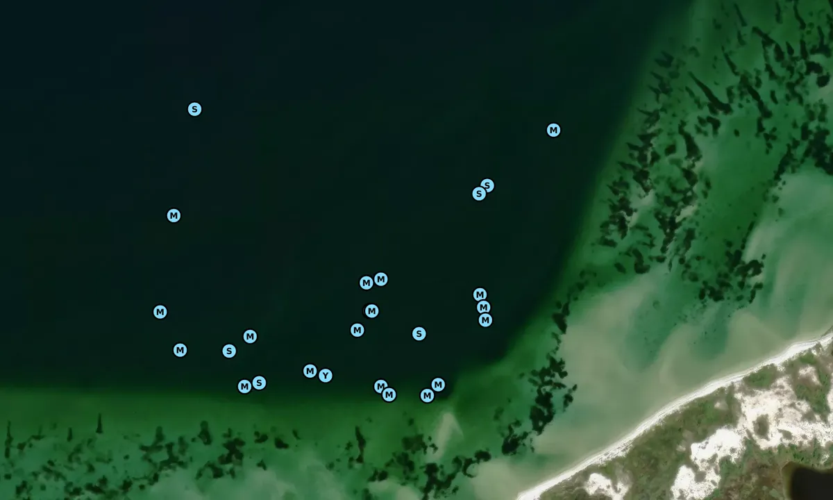 Satelite image of Petit Bois Island