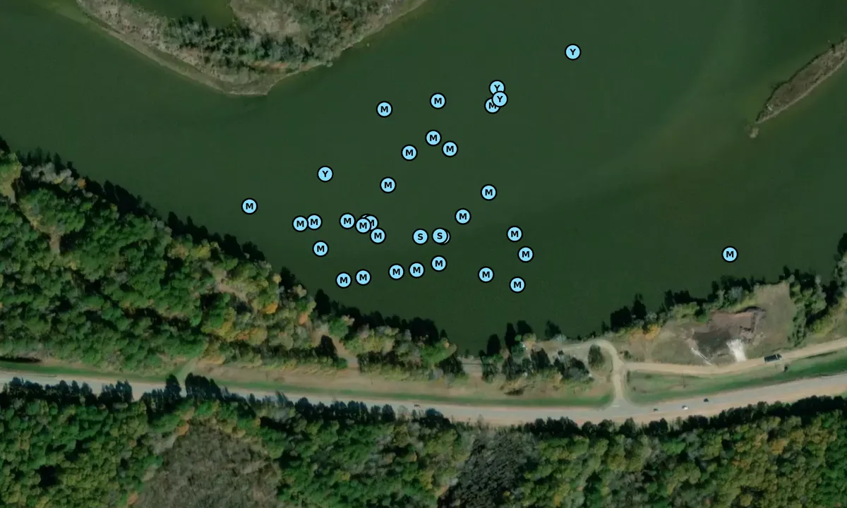 Satelite image of Pickensville - 3