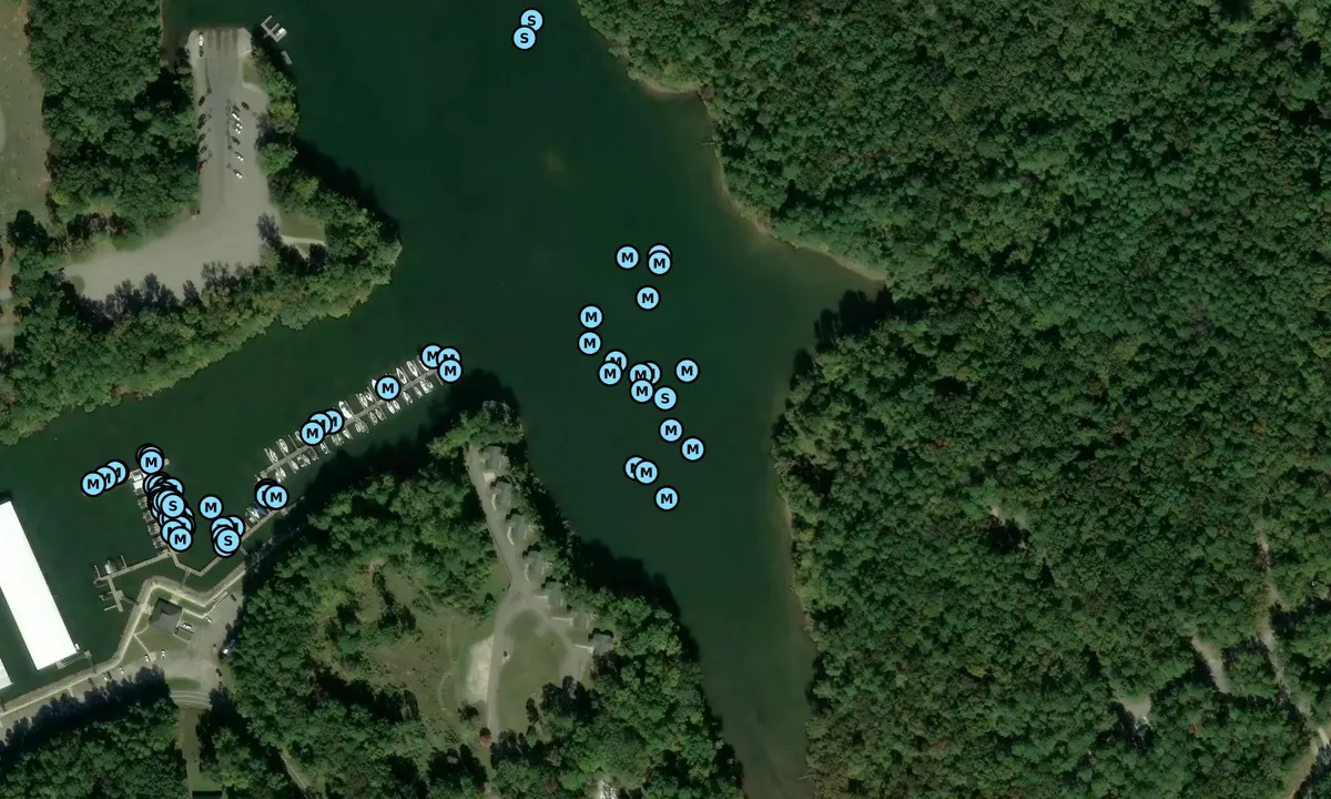 Satelite image of Pickwick Landing - 1