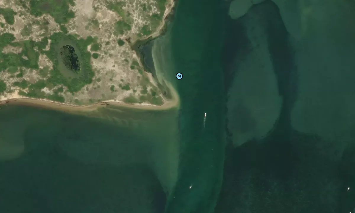 Satelite image of Picnic Point 1
