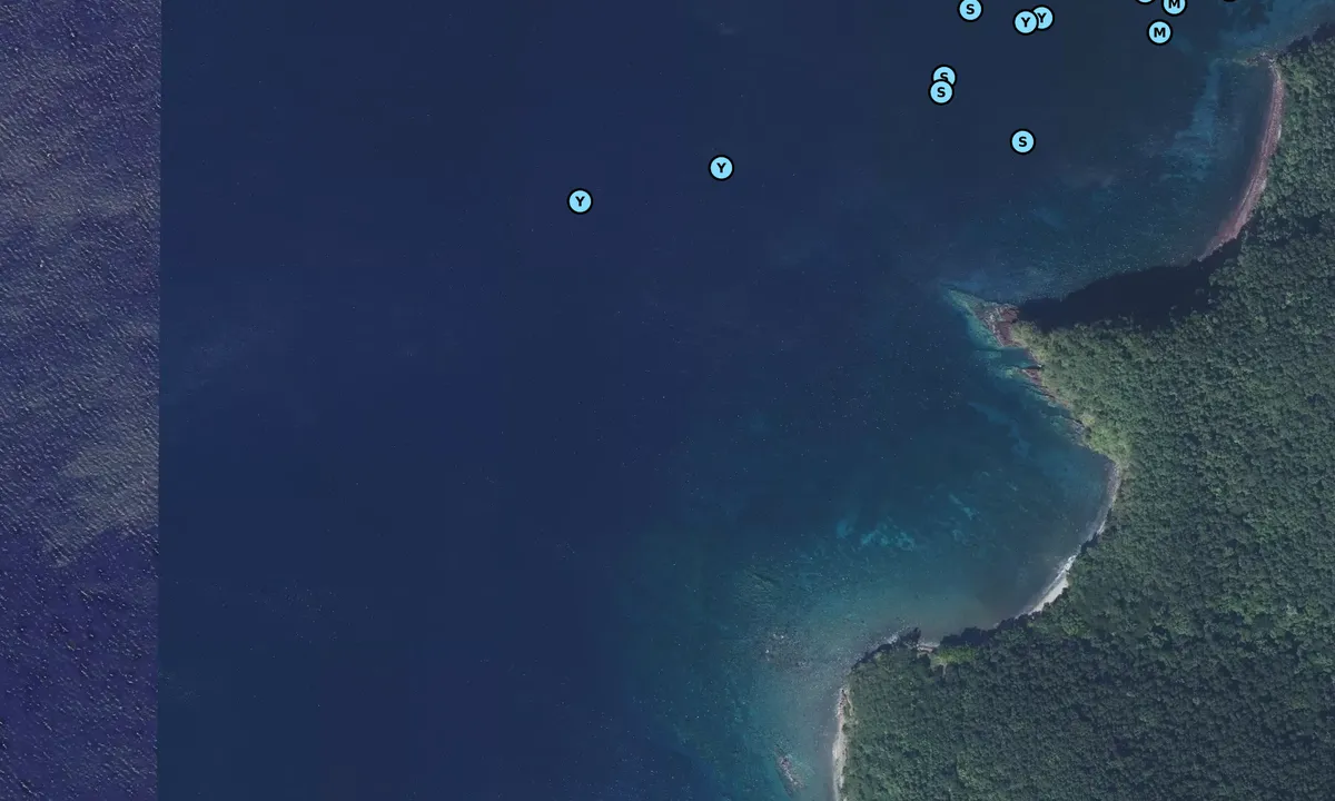 Satelite image of Pigeon Cove South