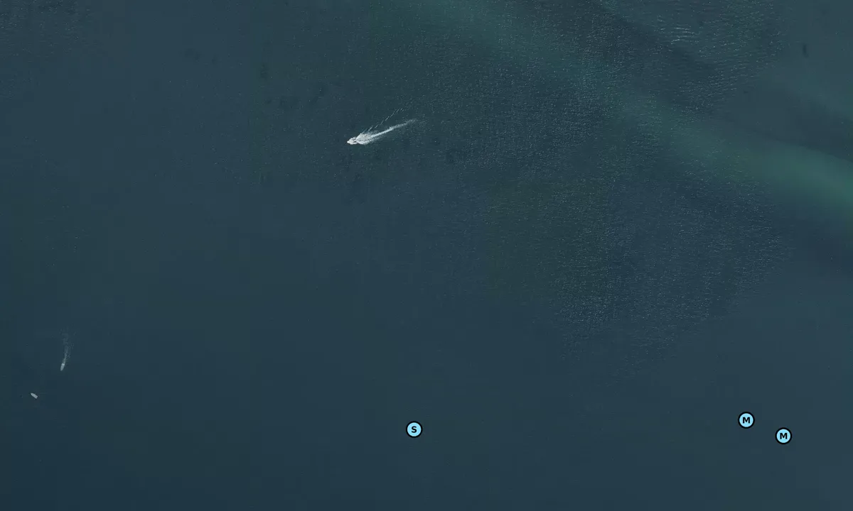 Satelite image of Pilgrim Beach