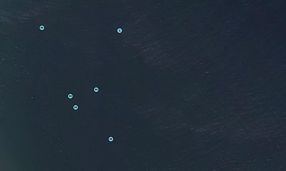Satelite image of Pillar Point
