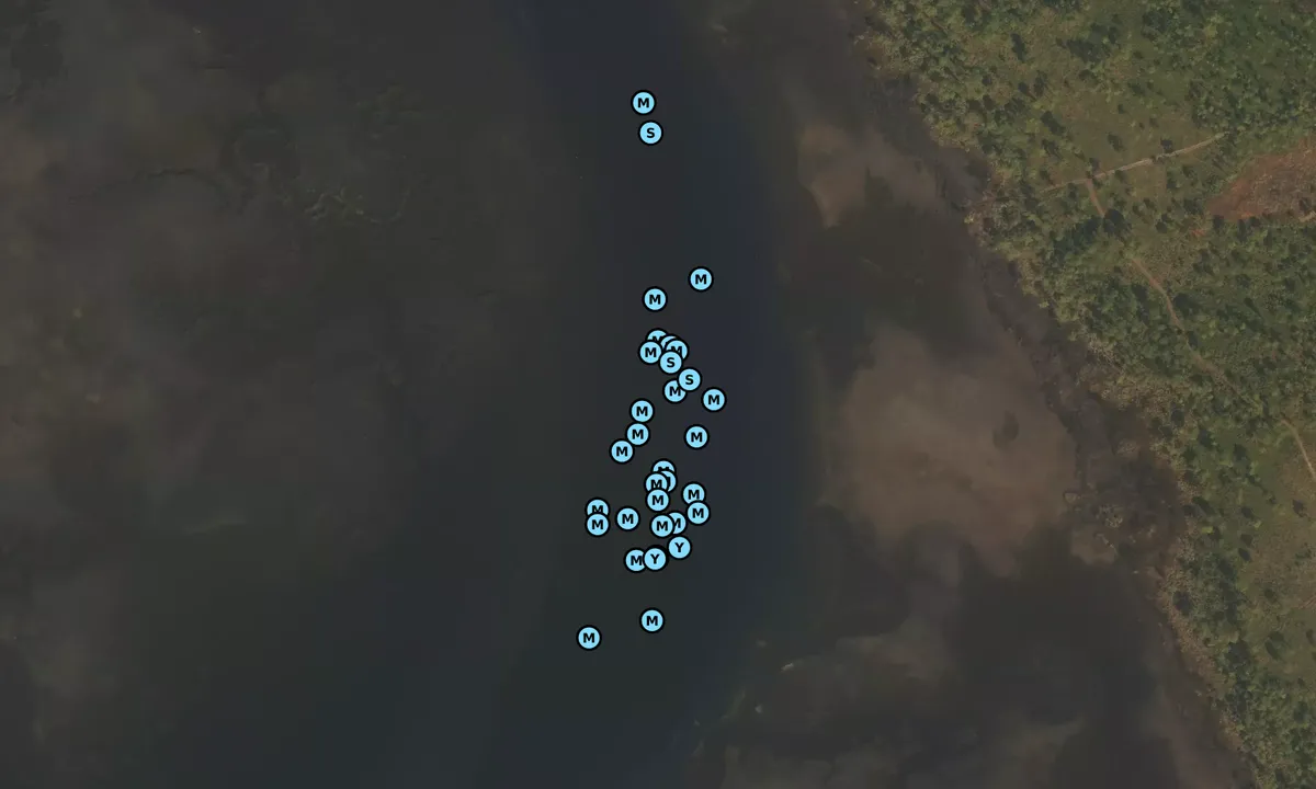Satelite image of Pine Island East