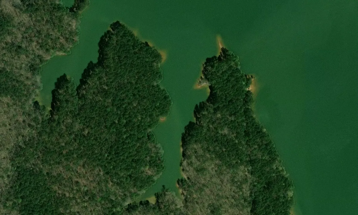 Satelite image of Piney Grove - 2