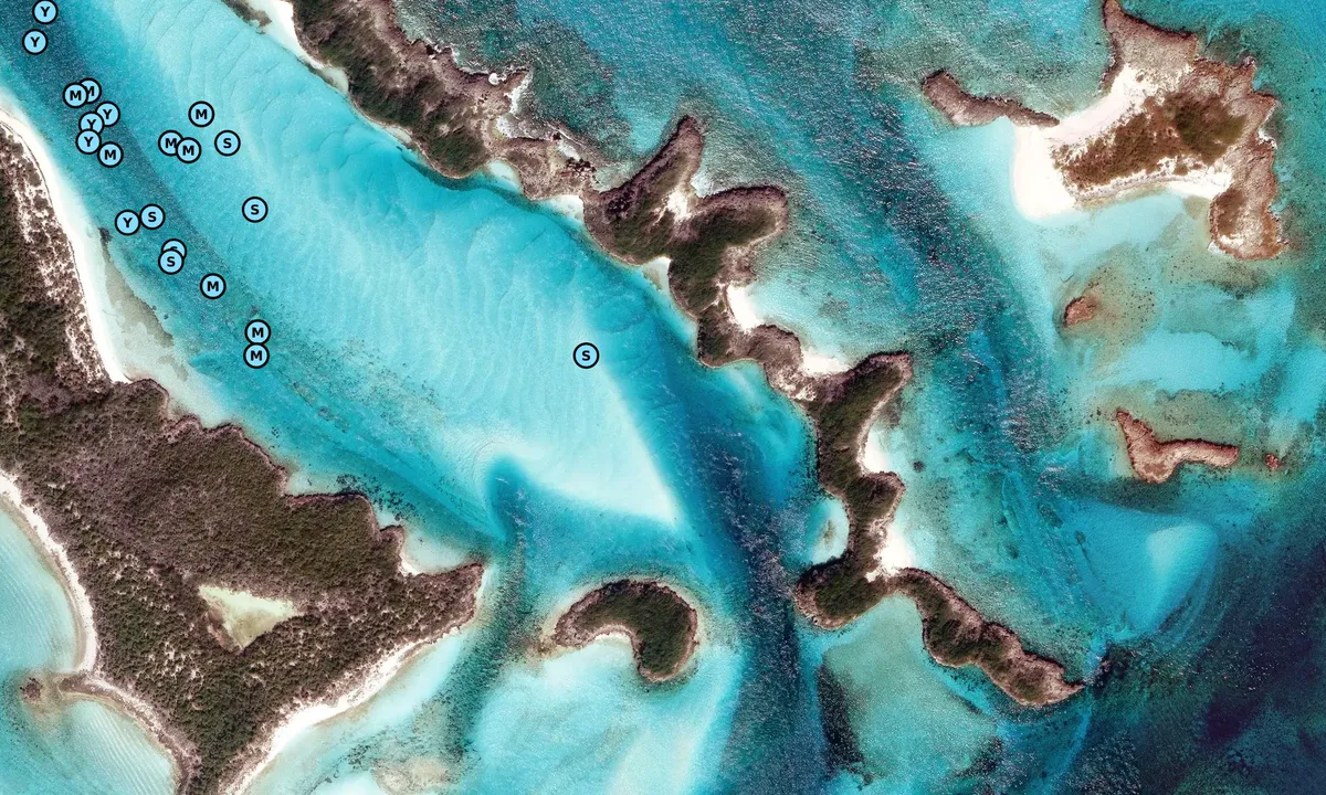 Satelite image of Pirate's Lair